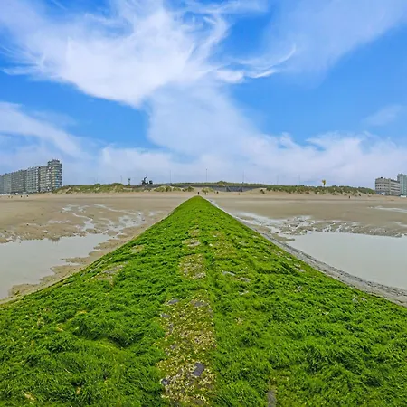 Near Dunes And Sea Dyke, Cleaning Included * Middelkerke
