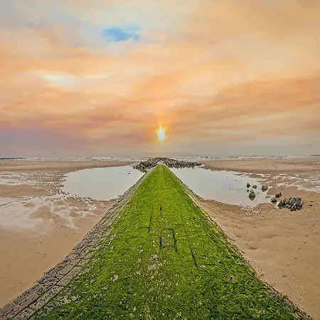 Near Dunes And Sea Dyke, Cleaning Included * Middelkerke